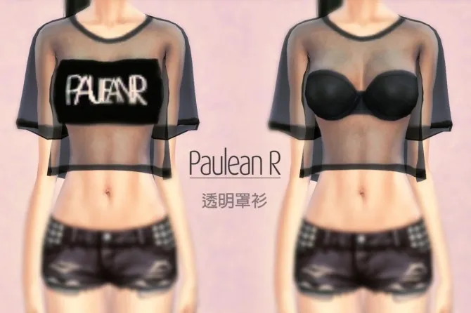 Transparent shirt acc.
