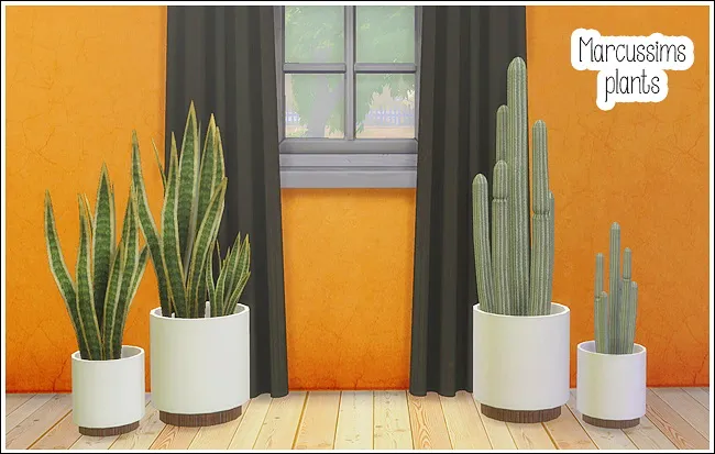 Marcussims plants 4 conversions