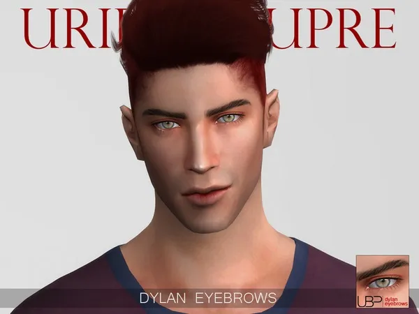 Dylan eyebrows