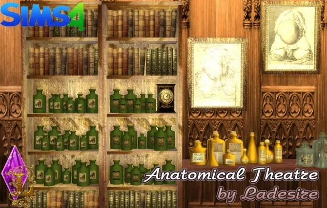 Anatomical Theatre