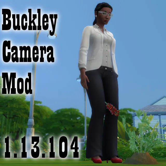 Buckley camera mod updated for 1.13.104