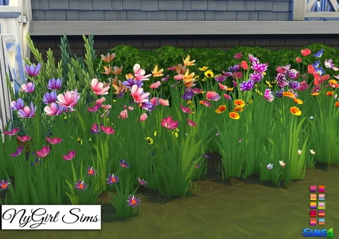 Wildflower Assortment