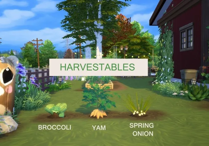Harvestable Broccoli, Yam and Spring Onion
