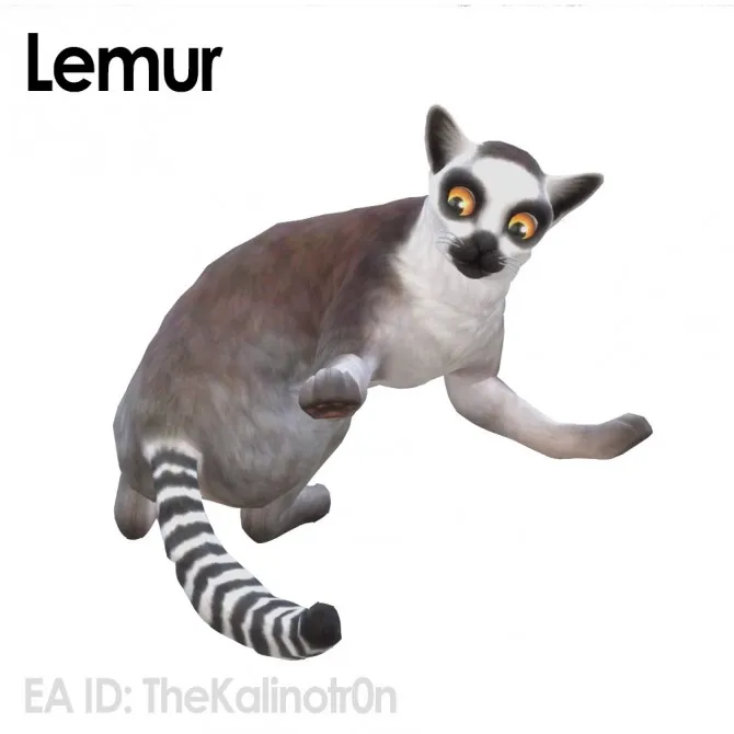 Lemur, monkeys and squirrel