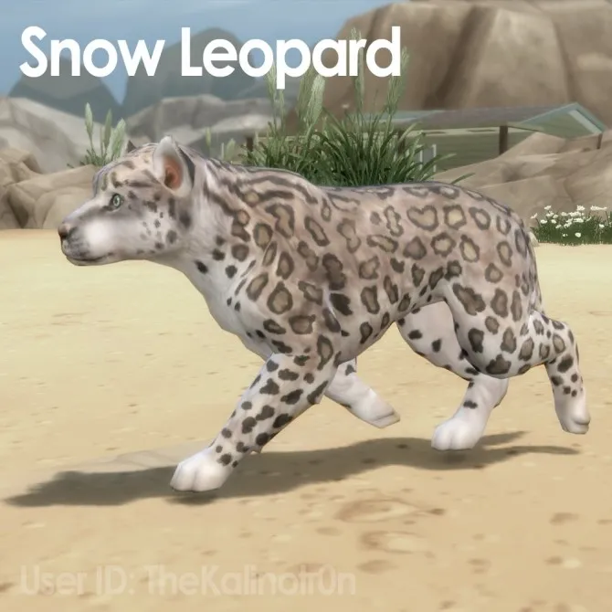 Snow Leopard, Leopard, Fallow Deer, Deer and White Tiger