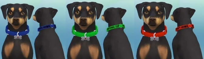 Service Dog Collars for Small Dogs by EmilitaRabbit, Sims 4 pets CC