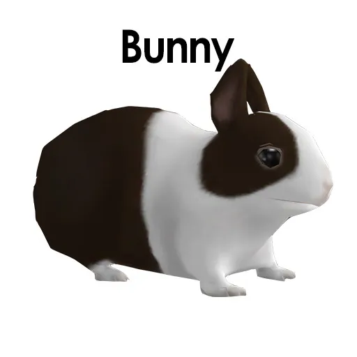 Small Animal Packages Part 1