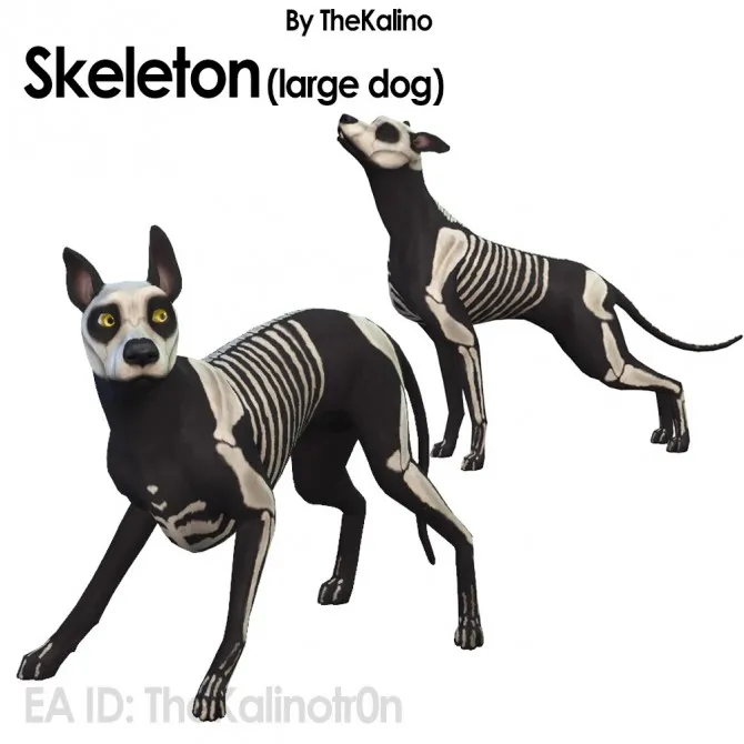 Skeleton (large dog)