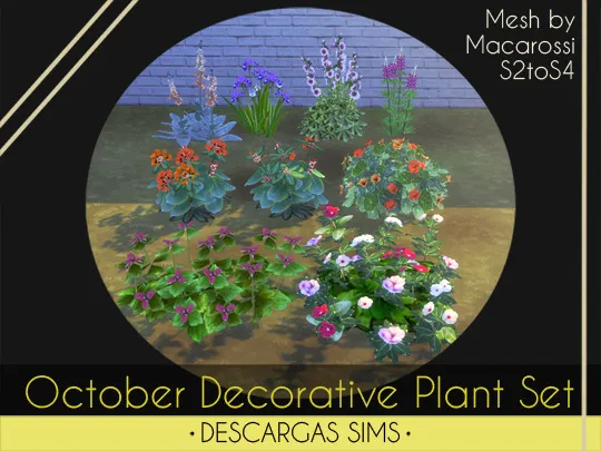 October Decorative Plant Set