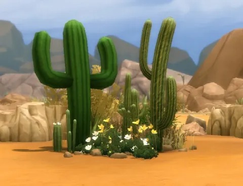 Liberated Desert Plants