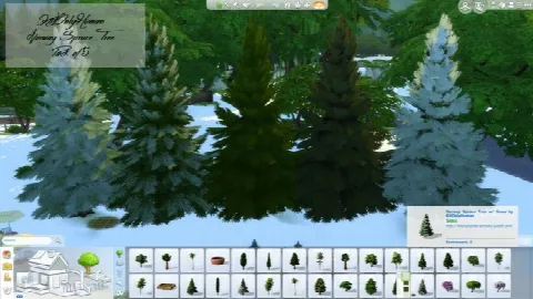 Norway Spruce Tree Pack of 5