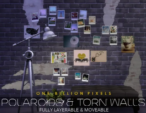 Polaroids & Torn Walls