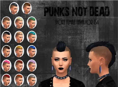 Short Punk Hawk for females