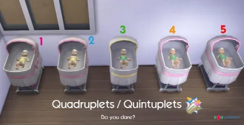 Quadruplets / Quintuplets