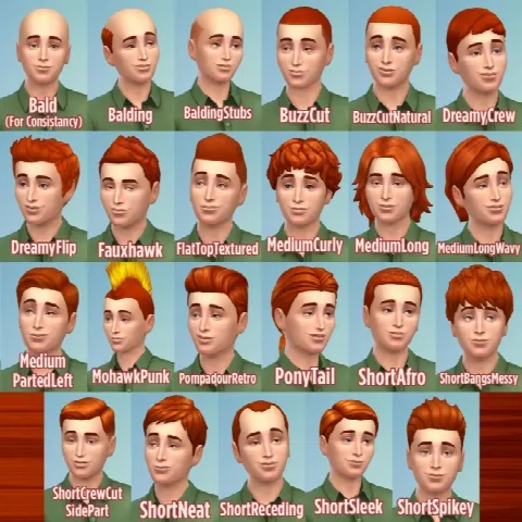 Ginger all male hairs