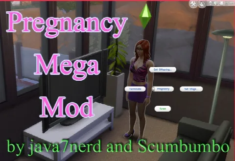 Pregnancy Mega Mod
