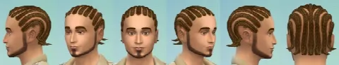 Short cornrows