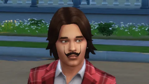 Salvador Dali Mustache