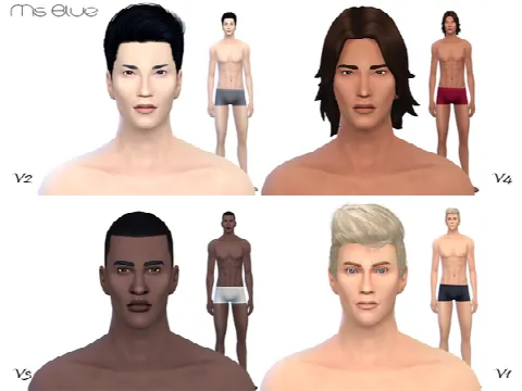 Beauty Skin Male V2