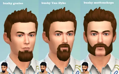 Bushy Goatee, Van Dyke and Muttonchops beards