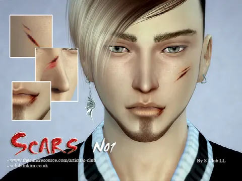 Scars 01