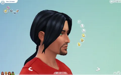 Long Ponytail for males