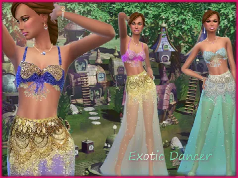 Exotic Dancer Clothes