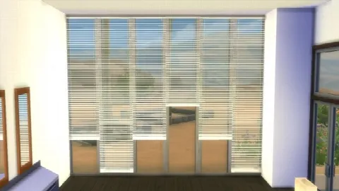 Horizontal Curtain Blinds