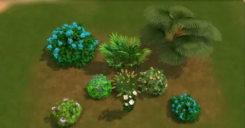 For The Outdoor plants