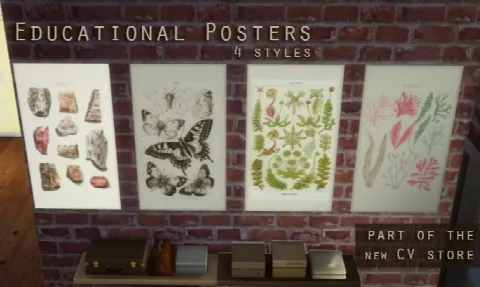 Educational posters
