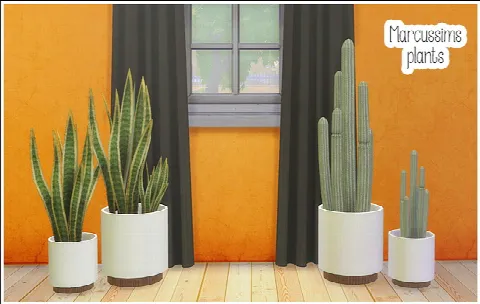 Marcussims plants 4 conversions