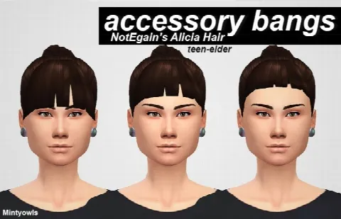 NOTEGAIN ALICIA ACCESSORY BANGS