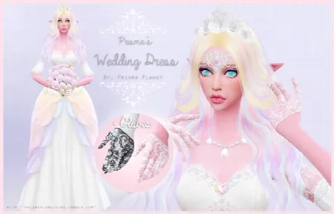 Wedding Dress + Gloves