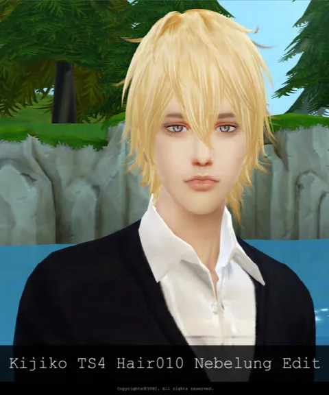 Kijiko TS4 Hair010 Nebelung Edit
