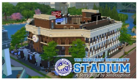 Newcrest University Stadium Part One: The Stadium