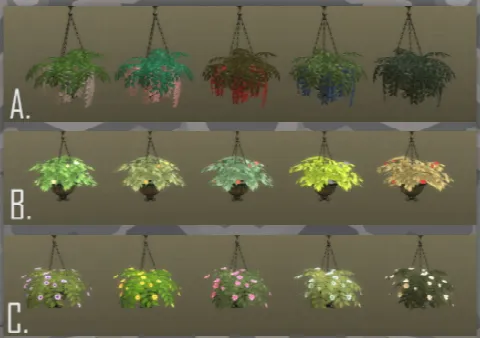 Hanging Baskets