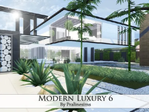 Modern Luxury 6 house
