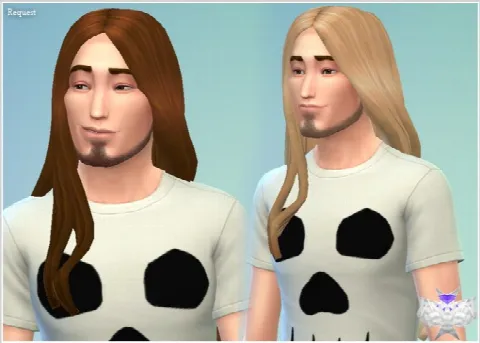 Long Hair for males