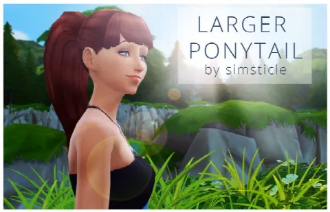 Larger Ponytail