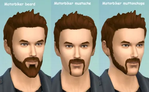 Motorbiker beard mustache and muttonchops