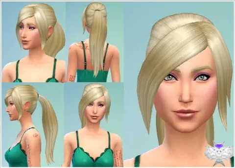 Long Ponytail hair