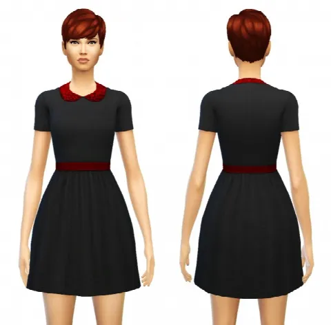 Peter Pan Collar dress