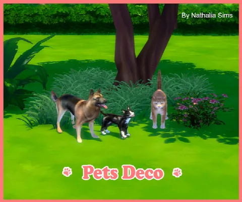 Pets Deco