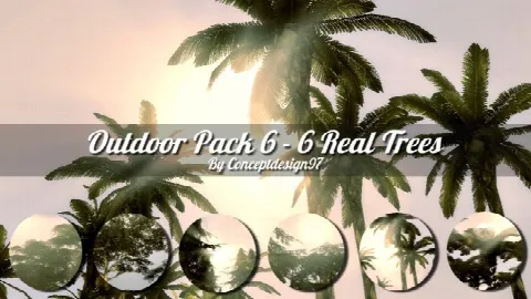 Outdoor Pack 6 Real Trees