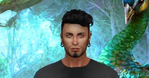 Maxis Makeover Don Lothario
