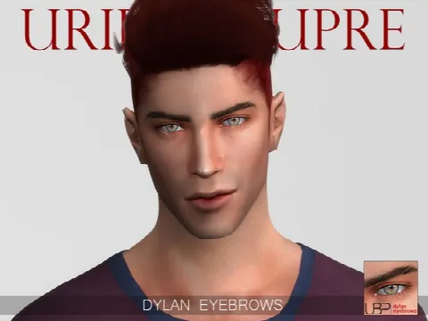 Dylan eyebrows