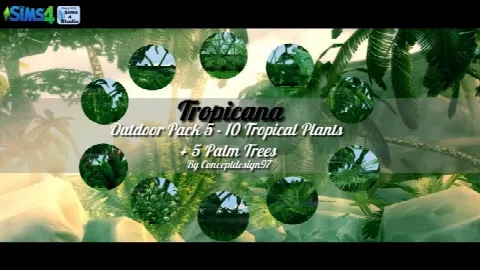 Outdoor Pack 5 – 10 Tropical Plants & 5 Palm Trees