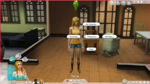 Pregnancy Mega Mod v7.0