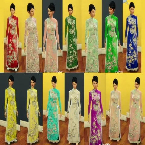 Vietnamese Dress (Áo Dài)