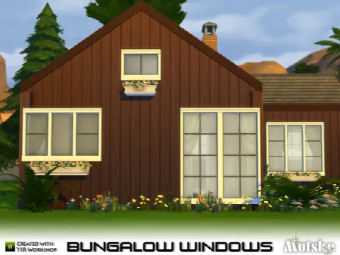 Bungalow Windows